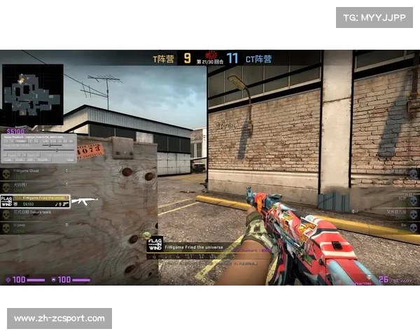 CSGO职业比赛数据集揭示武器击杀分布,AK-47占比最高